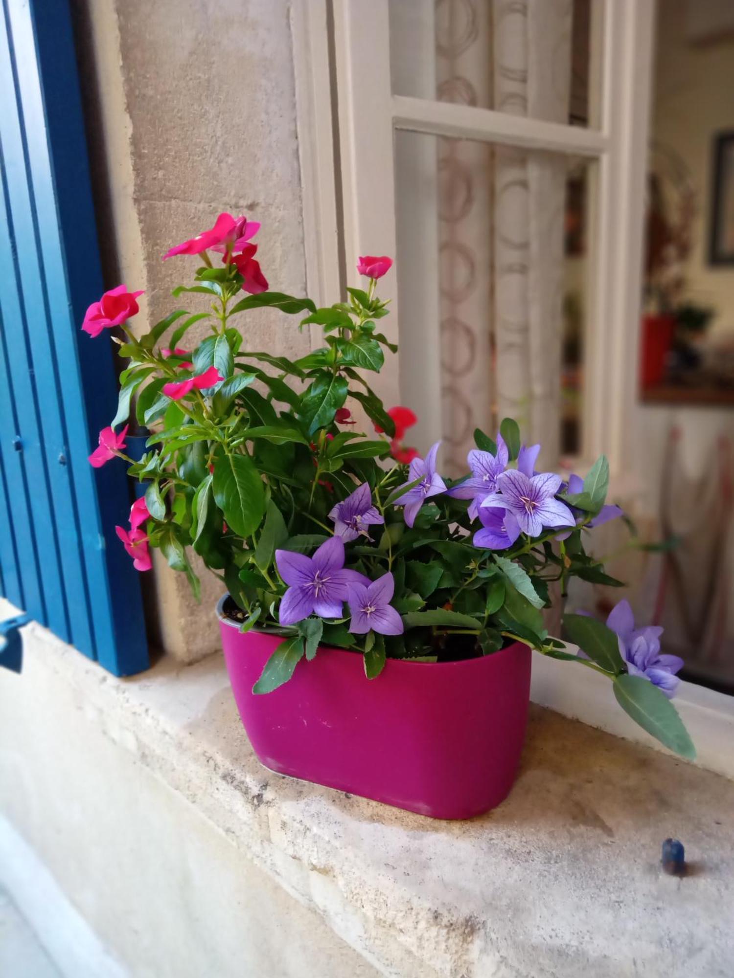 Tombe La Nefle Bed & Breakfast Авиньон Екстериор снимка